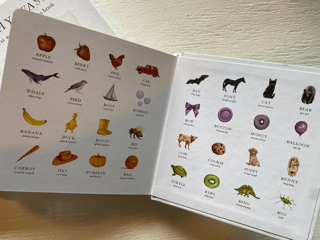 Wishy Washy - A first words and colors book