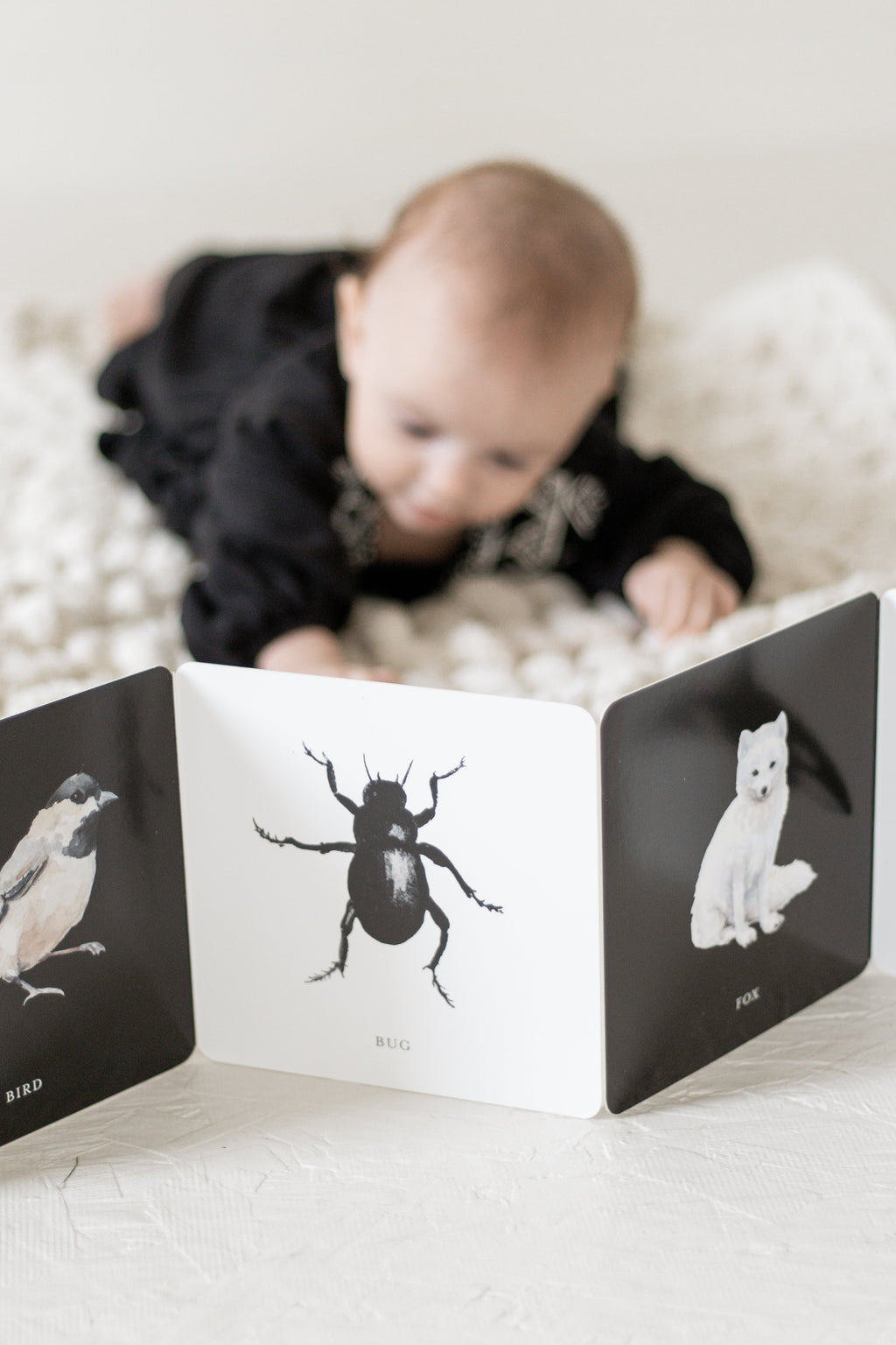 Black and White Contrast Book