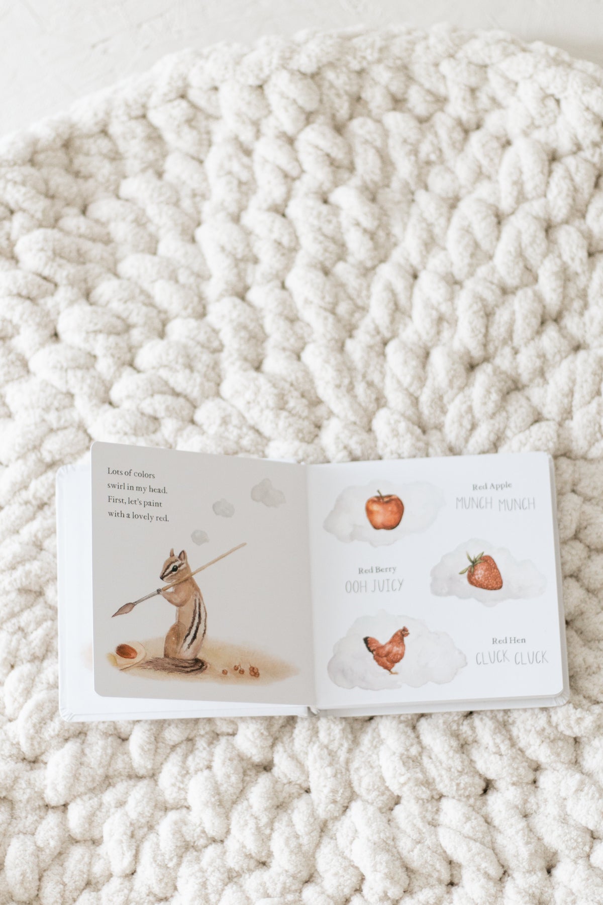 Wishy Washy - A first words and colors book
