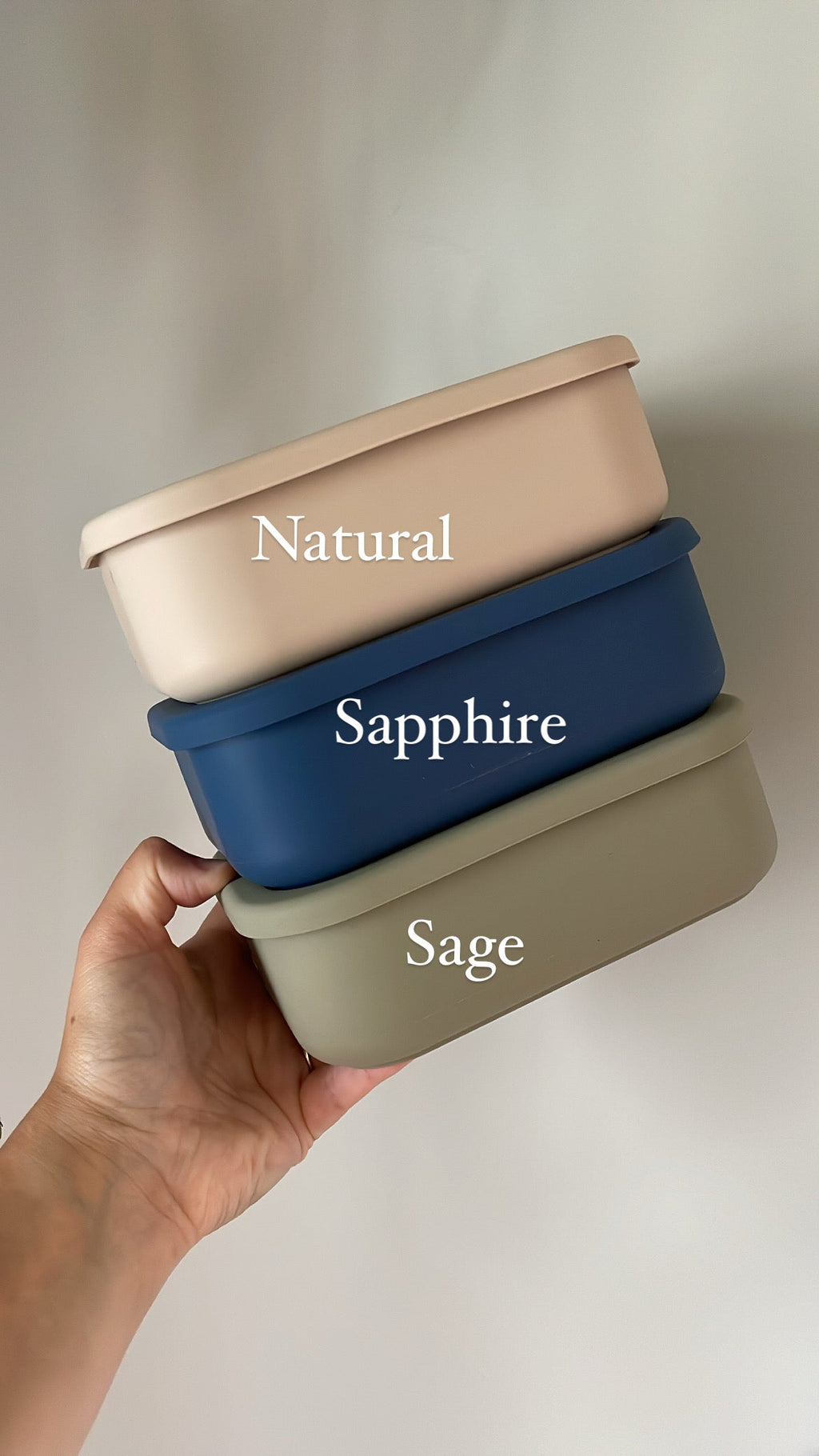 Silicone Bento Box